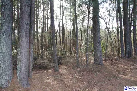 tbd New Hopewell, Hartsville, SC 29550