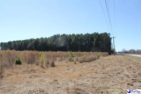 tbd Hwy 15, Hartsville, SC 29550
