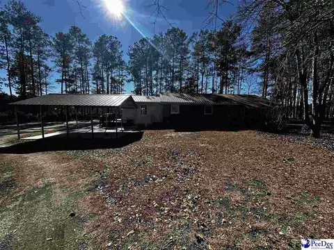 2648 Mckenzie Rd, Mcbee, SC 29101 photo 5