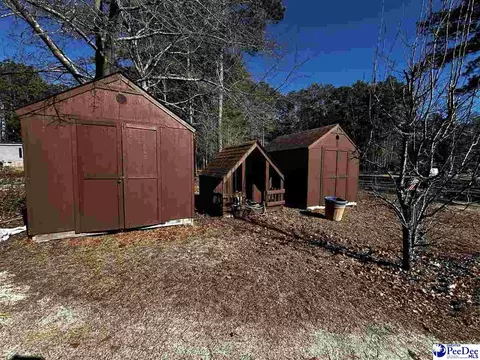 2648 Mckenzie Rd, Mcbee, SC 29101 photo 6
