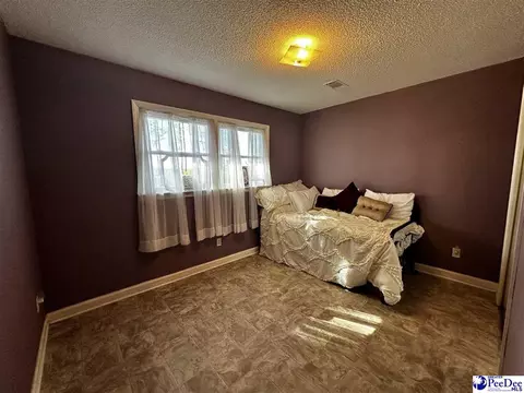 2648 Mckenzie Rd, Mcbee, SC 29101 photo 23