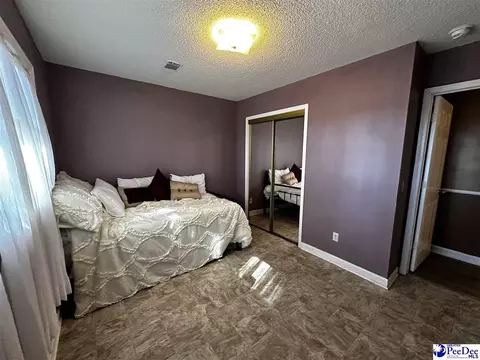 2648 Mckenzie Rd, Mcbee, SC 29101 photo 24