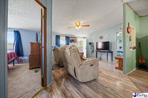 4229 Us Hwy 1 S, Wallace, SC 29596 photo 5