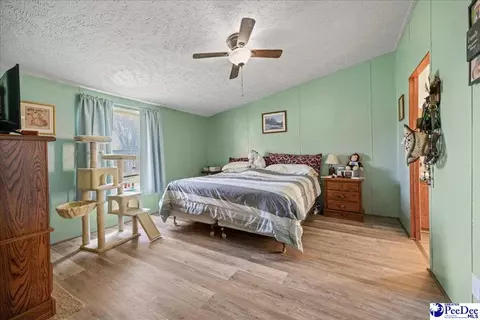 4229 Us Hwy 1 S, Wallace, SC 29596 photo 11