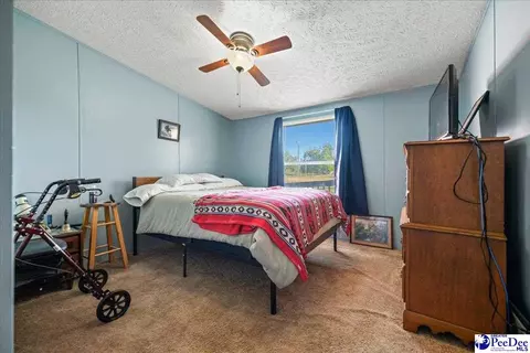 4229 Us Hwy 1 S, Wallace, SC 29596 photo 15