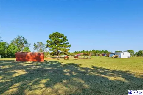 4229 Us Hwy 1 S, Wallace, SC 29596 photo 41