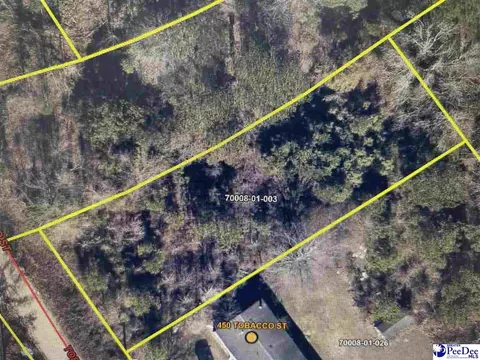 Mclendon St, Timmonsville, SC 29161