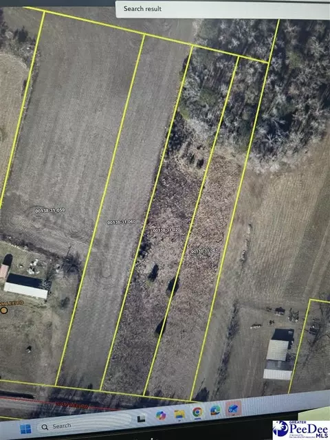 1123 Sam Lee Rd, Scranton, SC 29591