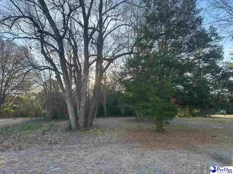 tbd S 4th Ave, Dillon, SC 29536