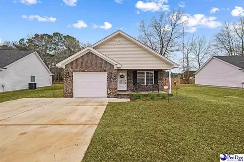 3248 Spiral Ln, Effingham, SC 29541