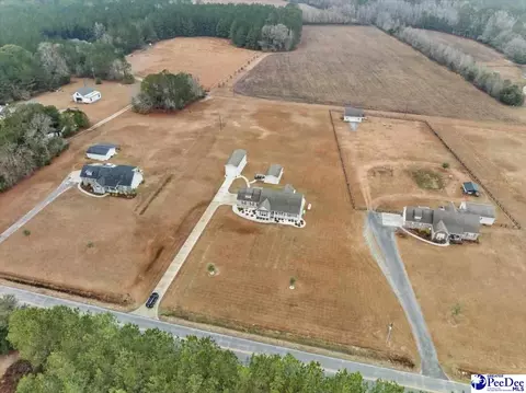 1135 Mclaughlin Rd, Effingham, SC 29541 photo 2