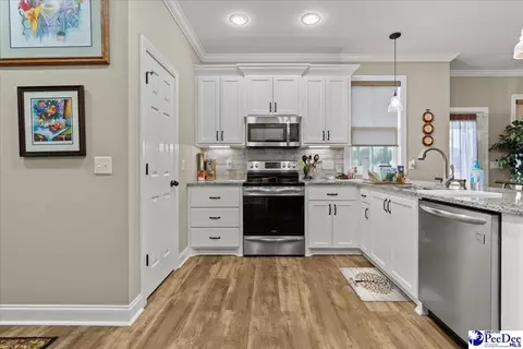 1135 Mclaughlin Rd, Effingham, SC 29541 photo 25