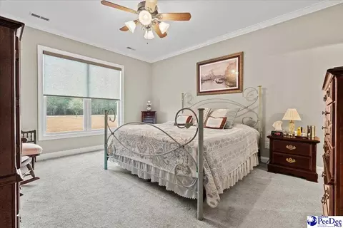 1135 Mclaughlin Rd, Effingham, SC 29541 photo 20