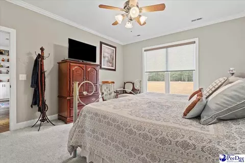 1135 Mclaughlin Rd, Effingham, SC 29541 photo 21