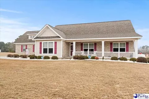 1135 Mclaughlin Rd, Effingham, SC 29541 photo 1