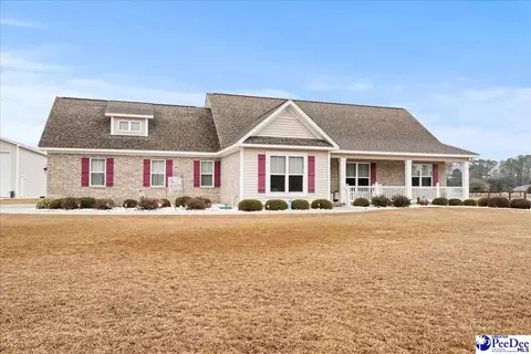 1135 Mclaughlin Rd, Effingham, SC 29541 photo 48