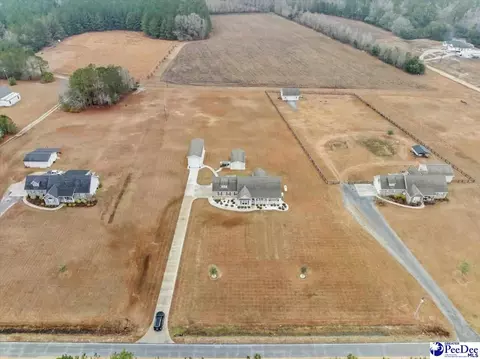 1135 Mclaughlin Rd, Effingham, SC 29541 photo 50