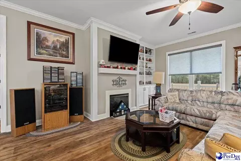 1135 Mclaughlin Rd, Effingham, SC 29541 photo 10