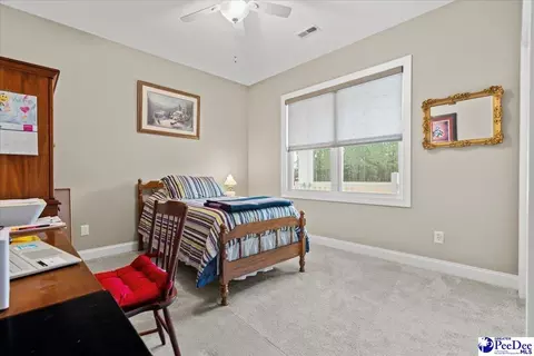 1135 Mclaughlin Rd, Effingham, SC 29541 photo 16