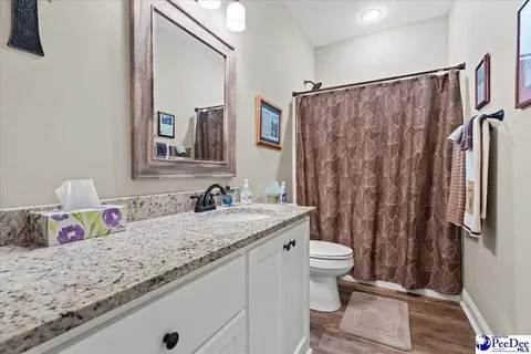 1135 Mclaughlin Rd, Effingham, SC 29541 photo 15