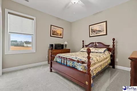 1135 Mclaughlin Rd, Effingham, SC 29541 photo 13