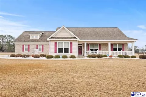 1135 Mclaughlin Rd, Effingham, SC 29541 photo 5