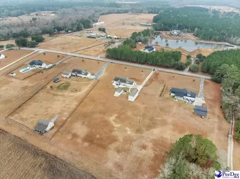 1135 Mclaughlin Rd, Effingham, SC 29541 photo 52