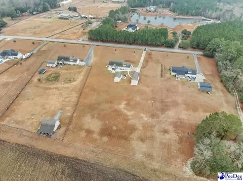 1135 Mclaughlin Rd, Effingham, SC 29541 photo 51