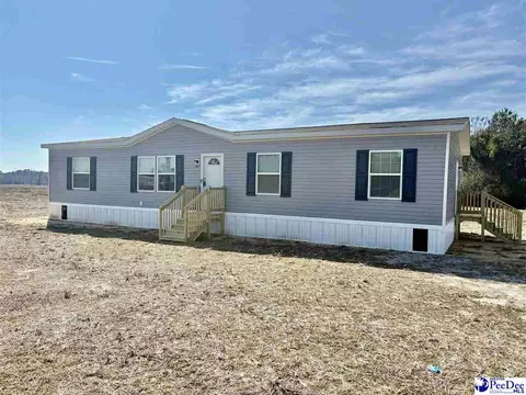 1487 Old Hamer Rd, Hamer, SC 29547