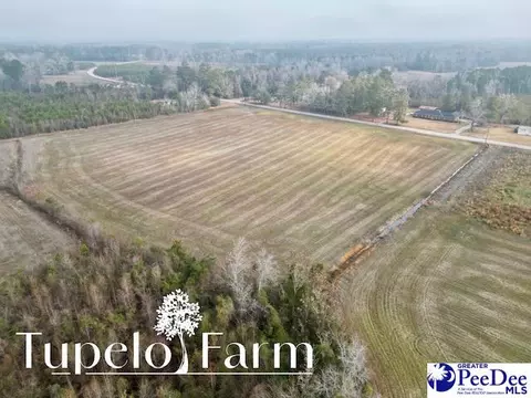 tbd W Lynhurst Rd #LOT 7, Pamplico, SC 29583