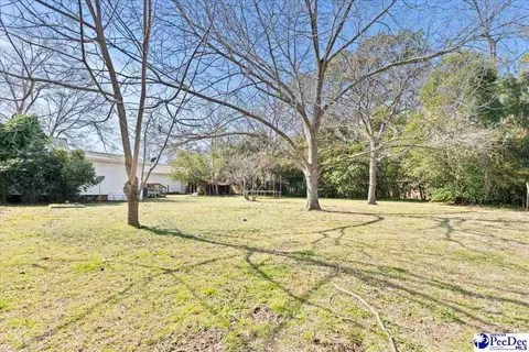 Exterior - 201 Boykin Ave, Lamar, SC 29069 photo 4 of 10