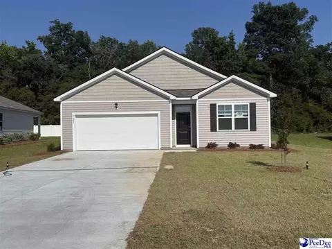 2087 E Paces Trl, Darlington, SC 29532 photo 1