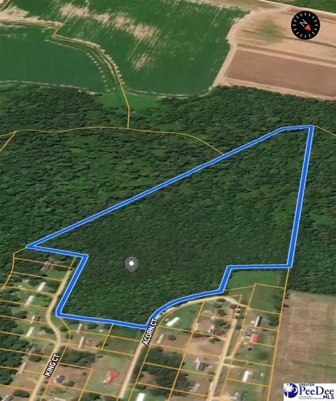 tbd Tbd, Marion, SC 29571 photo 2