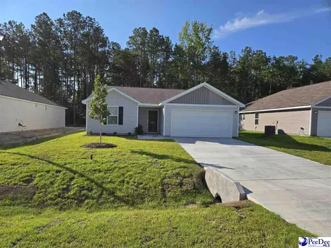 1947 E Paces Trl, Darlington, SC 29532 photo 1
