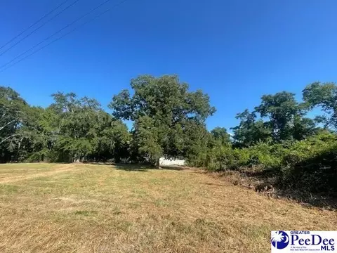 lot N A N Craig St, Chesterfield, SC 29709