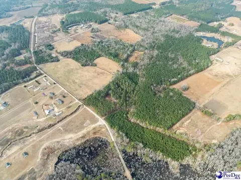 1325 Cubie Rd, Effingham, SC 29541