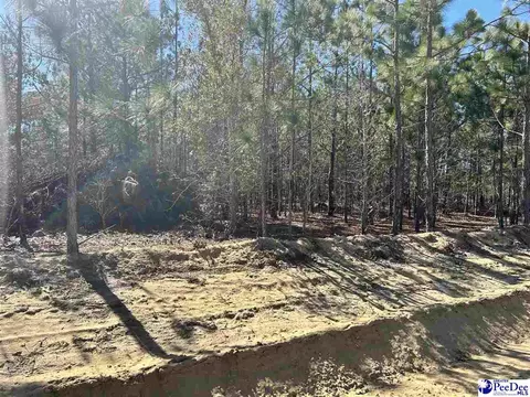 tbd Harold Funderburke Ln, Hartsville, SC 29550
