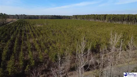 0 Bay Catfish Rd, Latta, SC 29565