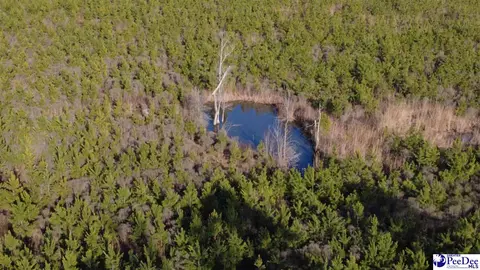 0 Bay Catfish Rd, Latta, SC 29565
