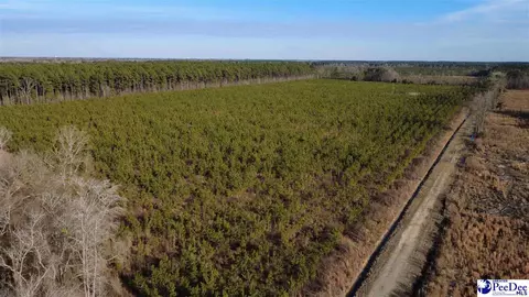0 Bay Catfish Rd, Latta, SC 29565
