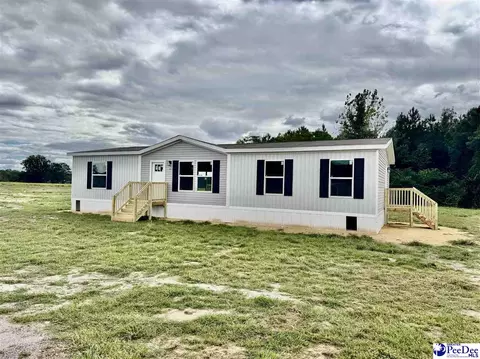 1483 Old Hamer Rd, Hamer, SC 29547