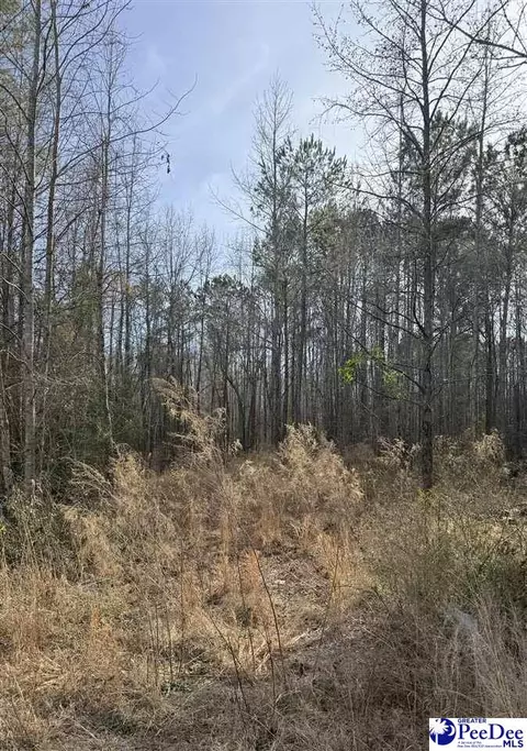 364 Longhorn Ln, Cheraw, SC 29520