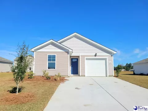 602 Strawberry Field Way, Galivants Ferry, SC 29544