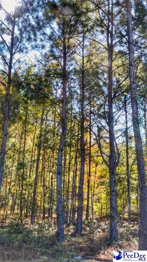 lot8 Zachary Ct, Latta, SC 29565