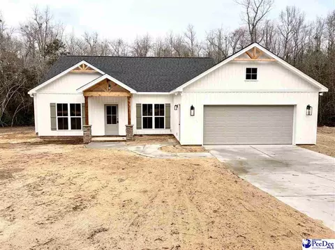 285 Mabry Ln, Cheraw, SC 29520