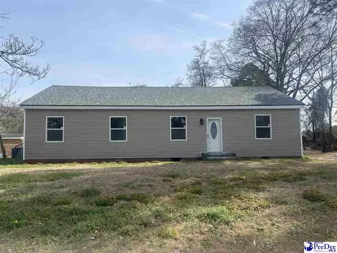 207 W Smith Ave, Darlington, SC 29532