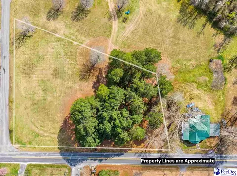1 47 Acres Bingham Ave, Olanta, SC 29114