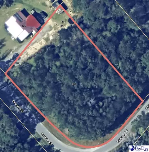 713 Branch Rd, Timmonsville, SC 29161