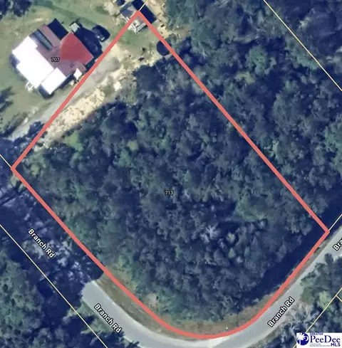713 Branch Rd, Timmonsville, SC 29161