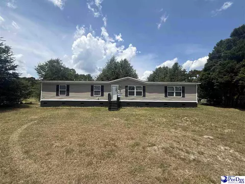 3875 Carolyn Ln, Johnsonville, SC 29555